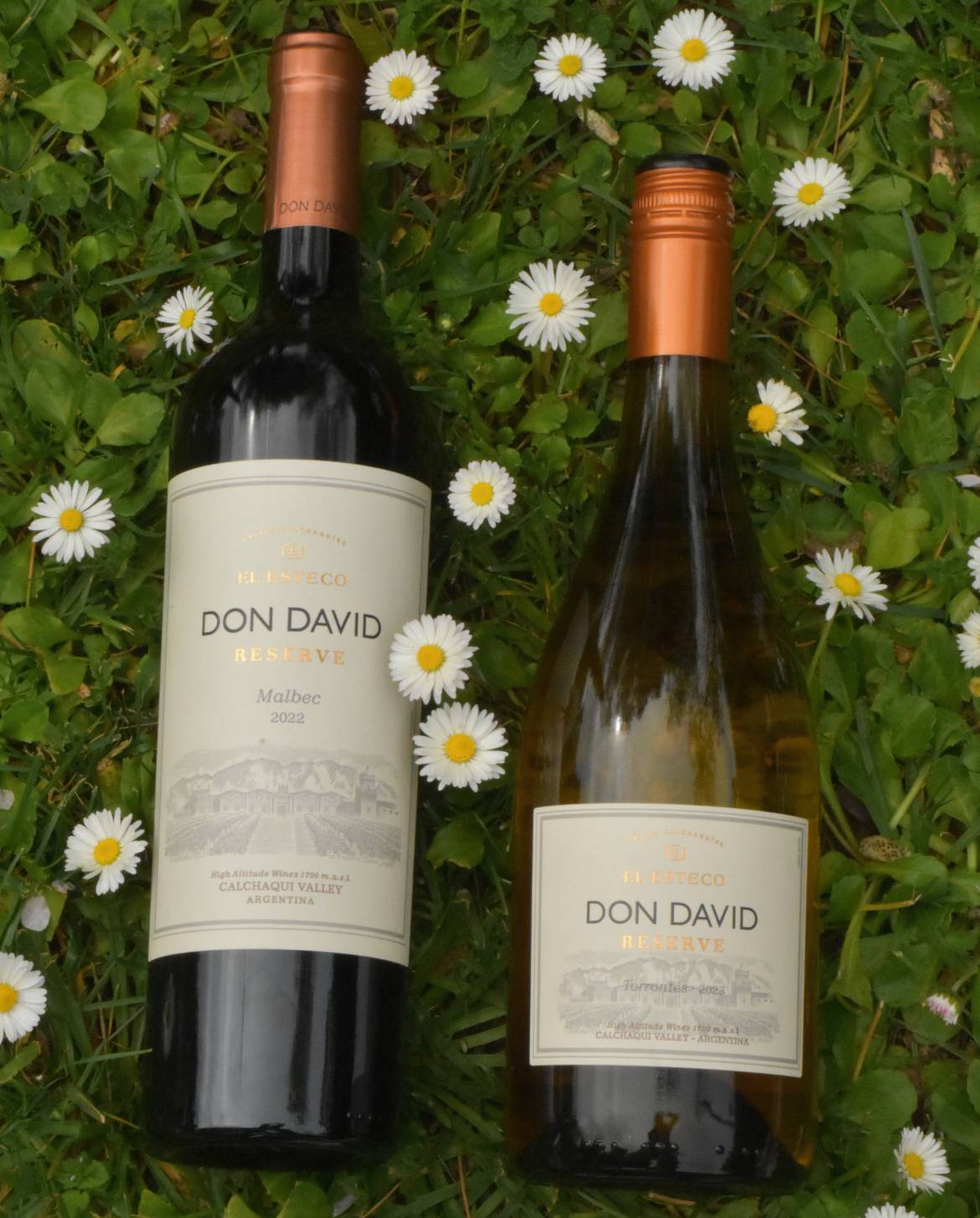 Combo CASAL Don David Reserve