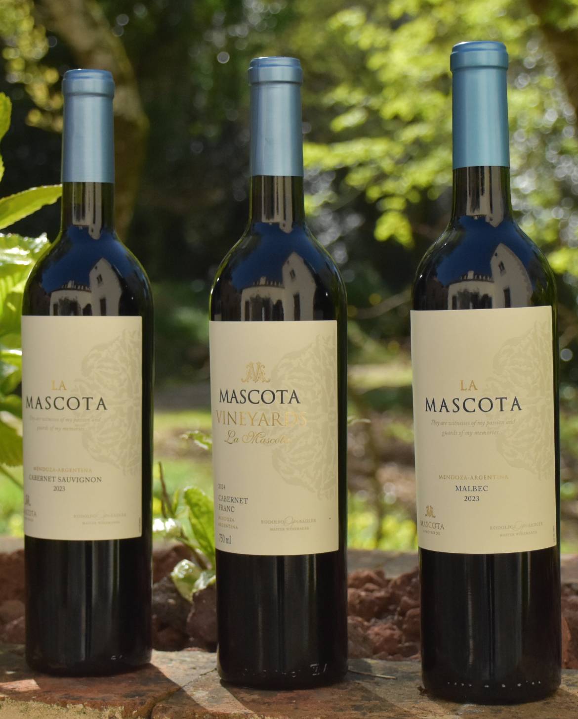 Combo La Mascota Vineyards